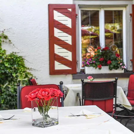 Adler Hotel Deggenhausertal