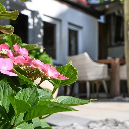 Adler Hotel Deggenhausertal