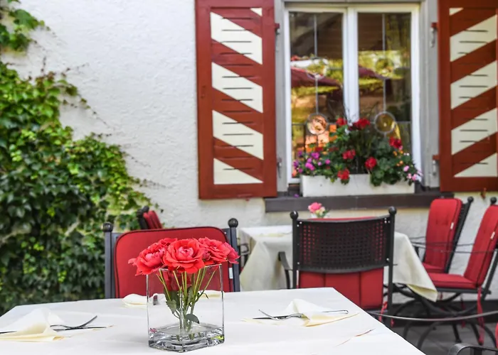 Adler Отель Деггенхаузерталь