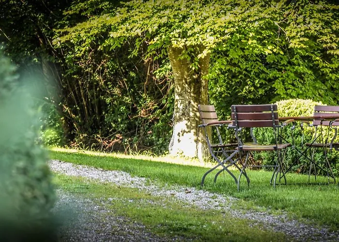 Отель Adler Деггенхаузерталь