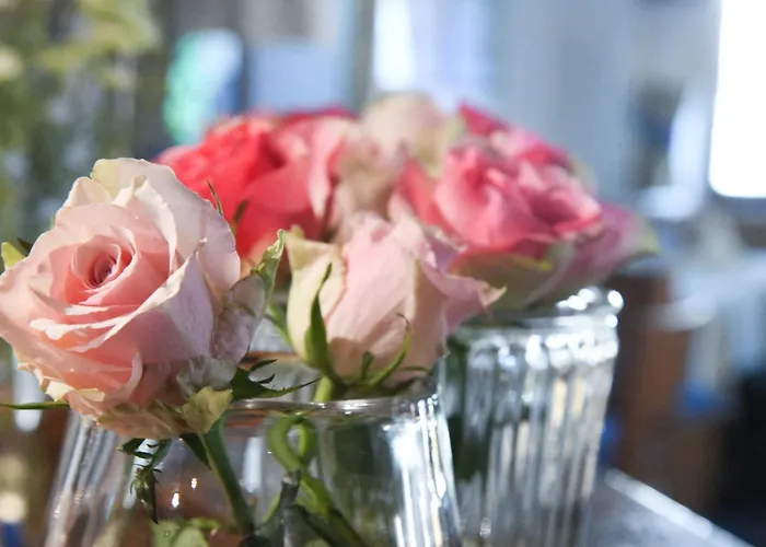 Отель Adler Деггенхаузерталь