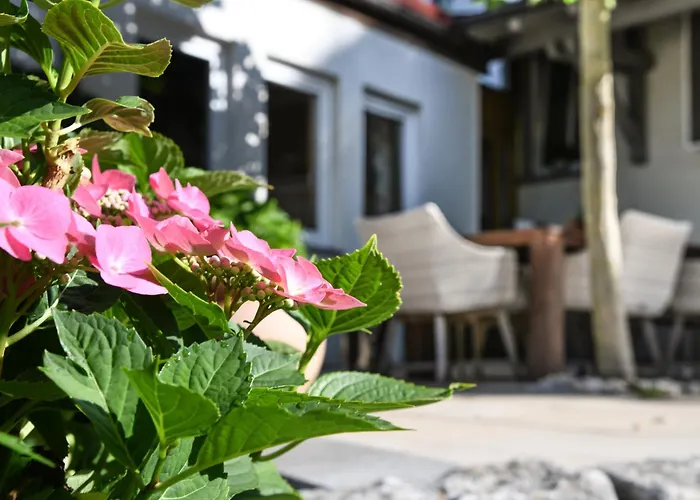 Adler Отель Деггенхаузерталь